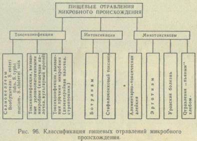 Химическая диета отзывы с фото Диеты на старт ВНИМАНИЕ!: технология приготовления овощного рагу в Диеты на старт ВНИМАНИЕ!: технология приготовления овощного рагу в Химическая диета отзывы с фото