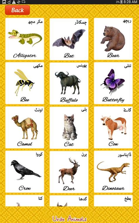 Learn Urdu Animals For Kids For Android Apk Download