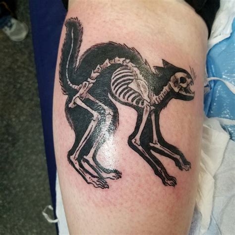 Hours may change under current circumstances Cat skeleton by Beth at Art for Life in Keene, NH ...