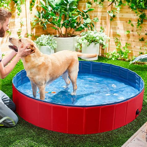 10 Best Dog Pools In 2023 👌 Ultimate Guide And Reviews Pools For Dog