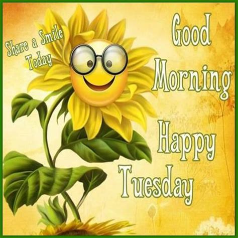 Good Morning Happy Tuesday Have A Smile Day Pictures Photos And