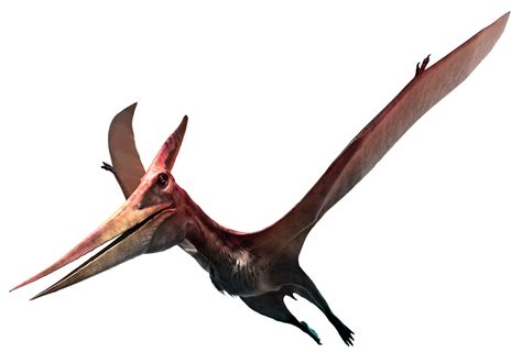 Jurassic World Pteranodon Png