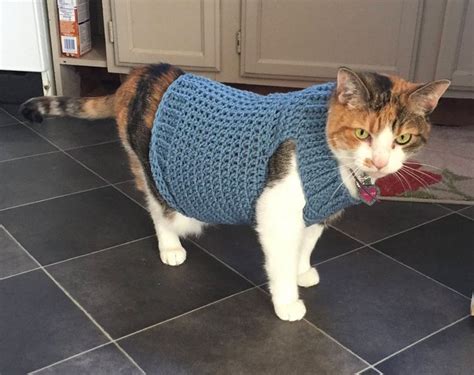 Cat Sweater Pattern Cat Clothes Pattern Crochet Pattern Pet Clothes
