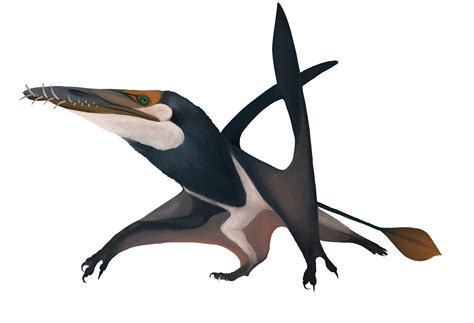 Flying Reptile Discovered In Scotland Dubbed Jurassic Fighter Jet Daily Sabah