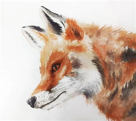 How To Paint A Watercolor Fox Skillshare Blog