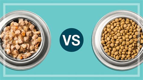 Which Is The Best Dog Food Or Cat Food Wet Or Dry Choice