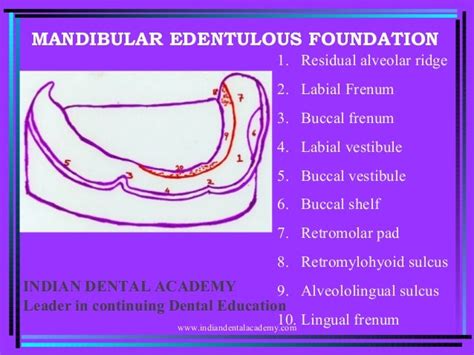 Mand Edent Found Dental Implant Courses By Indian Dental Academy