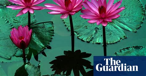 Pink Water Lilies And Milan Fashion Week Thursdays Best Photos News