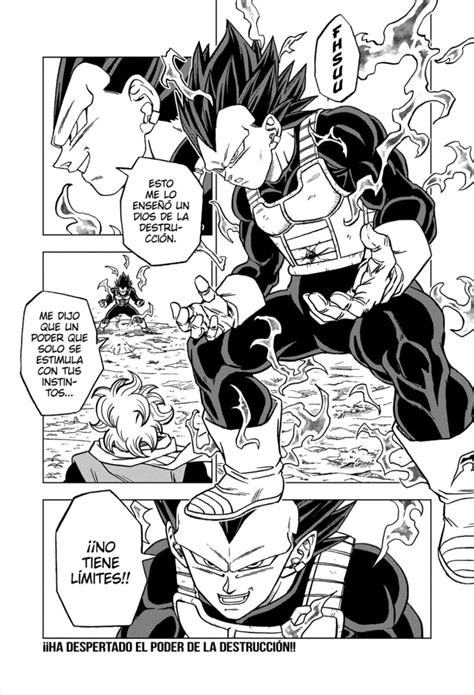 Dragon Ball Super Manga 74 Español Completo