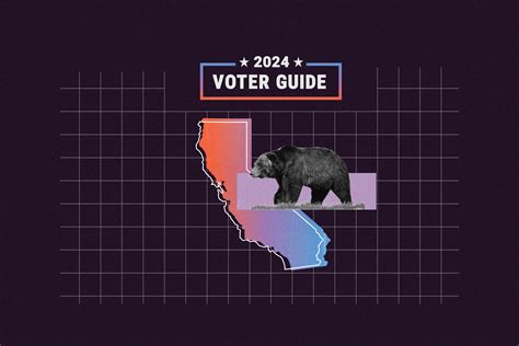 California State Senate Races To Watch In 2024