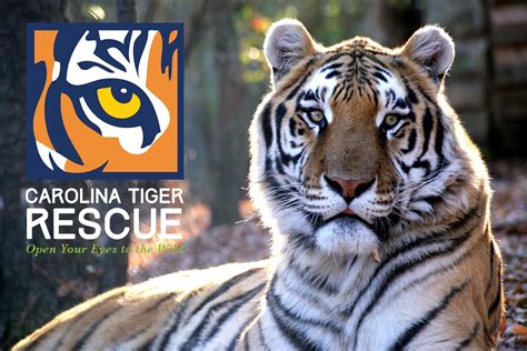 Carolina Tiger Rescue Global Federation Of Animal Sanctuaries