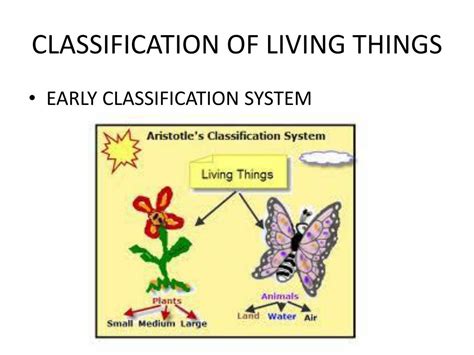 Ppt Classification Of Living Things Powerpoint Presentation Free