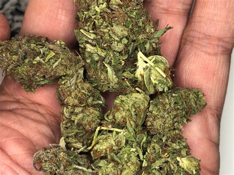 Find local flowers quickly and easily. Plain Jane CBD Hemp Flower Review - HappyHemp