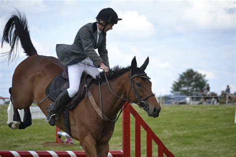 Free Images Person Fence Rider Stallion Competition Mare Jockey