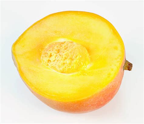 Mango Seed Stock Photos Pictures And Royalty Free Images Istock
