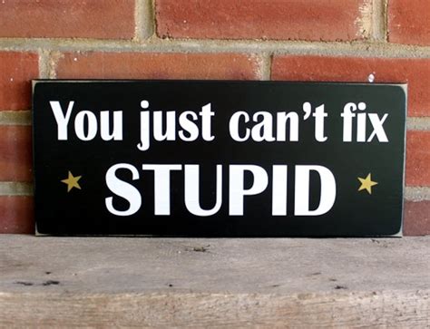 You Just Can T Fix Stupid Wood Sign Wall Decor Funny Etsy