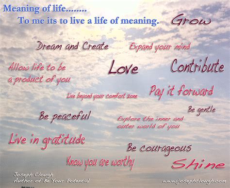 Meaning Of Life Live A Life Of Meaning — Joseph Clough