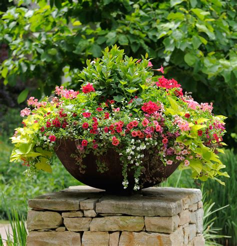 The Advantages Of Container Gardening Dengarden