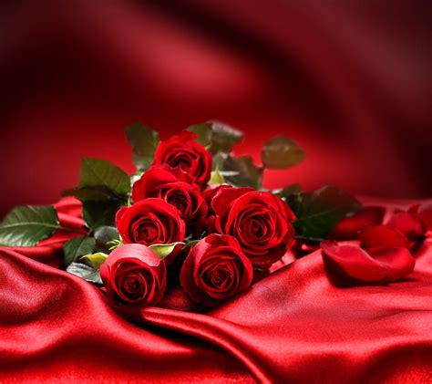 Roses Beautiful Flowers Love Red Romantic Silk Background Hd