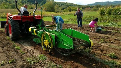 Old Potato How To Plant