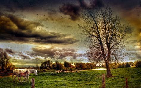 Download Wallpaper For 2560x1440 Resolution Hdr Countryside Landscape