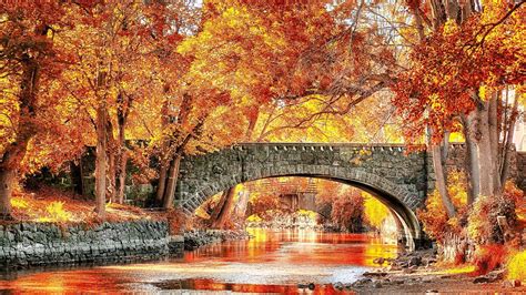 Bridge In Autumn Wallpapers Wallpaper Cave