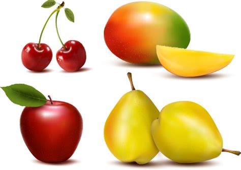 Fresh Fruits Design Vector Set Vectors Graphic Art Designs In Editable