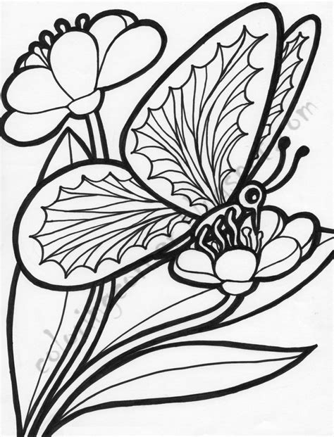 Beautiful butterfly coloring pages floral butterfly coloring sheet