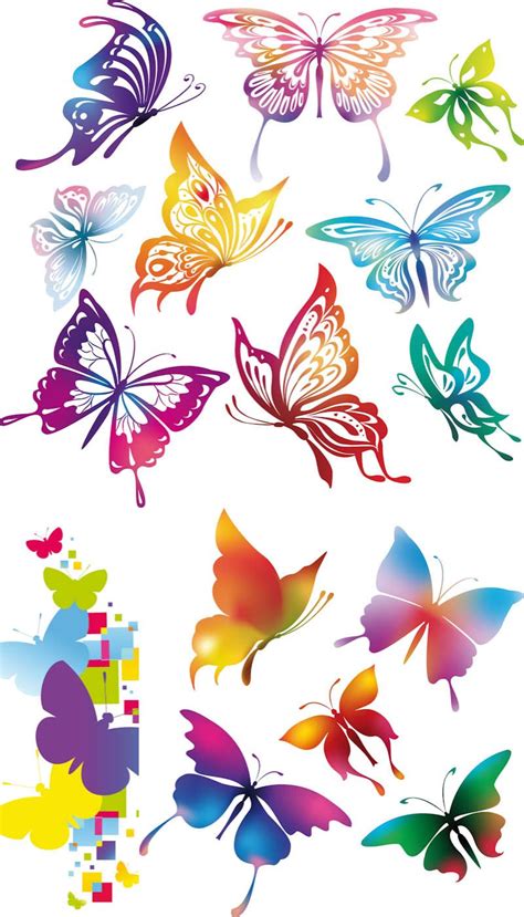 Colorful Butterflies Vector Butterflies Vector Butterfly Drawing