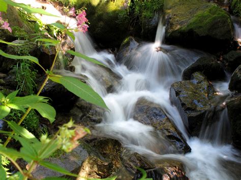 Water - Source of Life | Creek with tiny little waterfalls ...