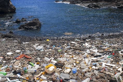 Lixo Nos Oceanos Faz Mal à Saúde Alerta Ambientalista