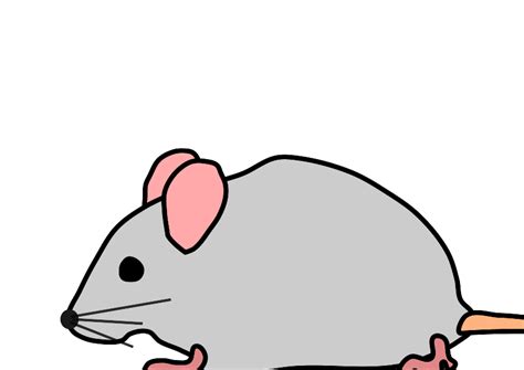 Gray Mouse Clip Art At Vector Clip Art Online Royalty Free