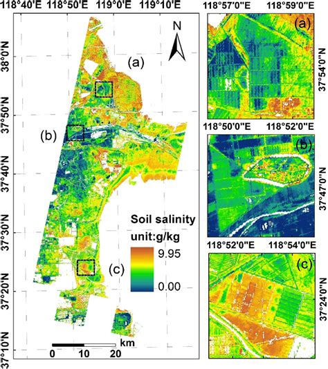 Soil Salinity Map Over Study Area And Detailed Soil Salinity