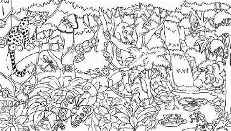 Rainforest coloring, Download Rainforest coloring for free 2019