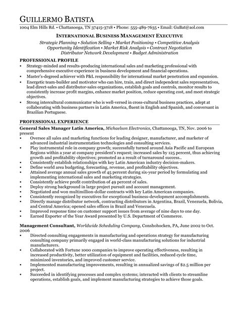 24 Best Sample Executive Resume Templates Wisestep