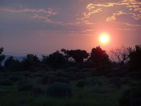 High Desert Sunset In Fallon Nv C Ashlee Pargett Self Desert