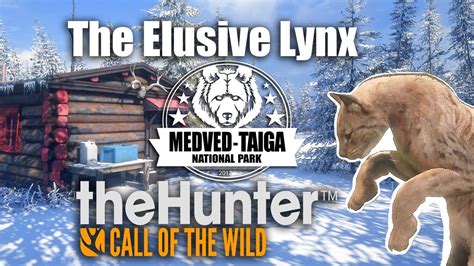 The Elusive Lynx Thehunter Call Of The Wild Youtube