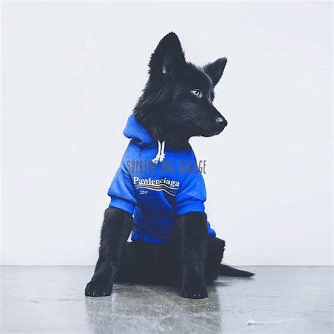 Pawlenciaga 2017 Hype Dog Hoodie Supreme Dog Garage