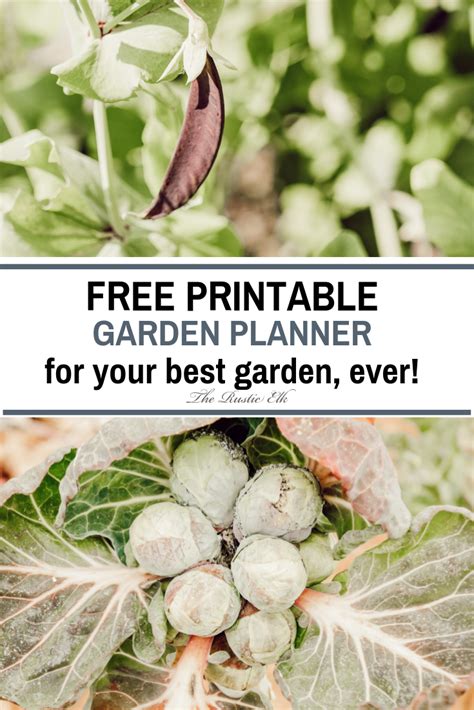 If you are getting ready to start a garden, this garden planner will help you document every step of the journey. Free Printable Garden Planner- 14 Pages! | Garden planner ...