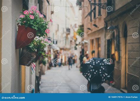Alley With Flowers Stock Photo Image Of House Street 184917976
