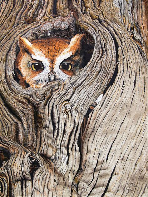 Owl In A Tree Hole Drawing Ketodiet Templatesyard