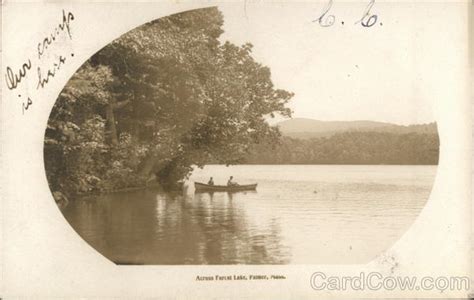 Forest Lake Palmer Ma Postcard