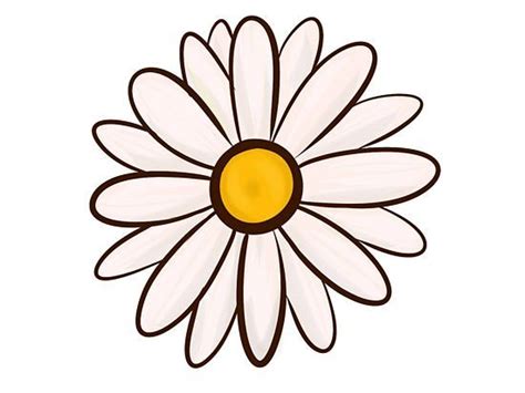 Daisy flower drawing flower drawing tutorials flower sketches drawing flowers flower drawings cartoon drawings pencil drawings art drawings drawing lessons. How to Draw a Flower