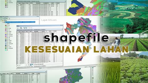Shapefile Peta Kesesuaian Lahan Untuk Pertanian Indonesia Lapak GIS
