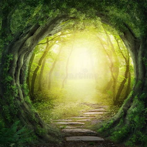 Road In Dark Forest Stock Photo Image Of Copy Dreams 33128118
