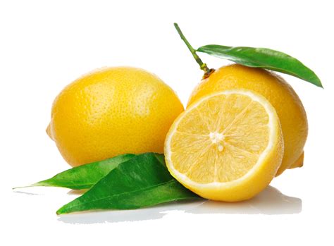 Lemon Png Transparent Lemonpng Images Pluspng