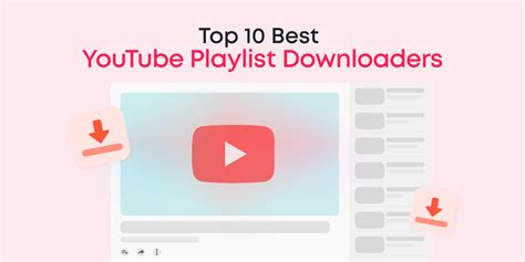 Top 10 Best Youtube Playlist Downloaders Animotica Blog