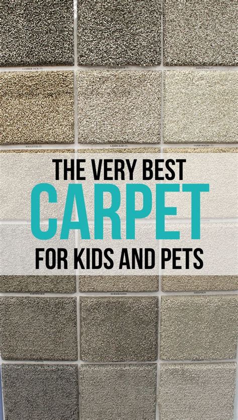 The best vacuum for pet hair on wood and carpet which are upright, are the most common, traditional models. Best Type Of Carpet For High Traffic Areas And Pets ...