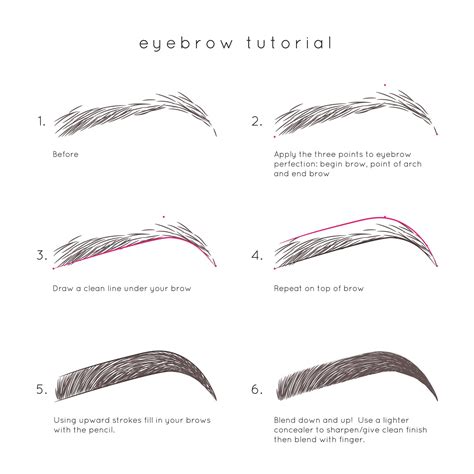 Premium Vector Eyebrow Tutorial How To Make Beautiful Eyebrow