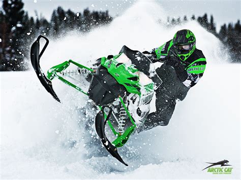 Arctic Cat Snowmobile Arctic Cat Snowmobiles Pinterest Cat Snow